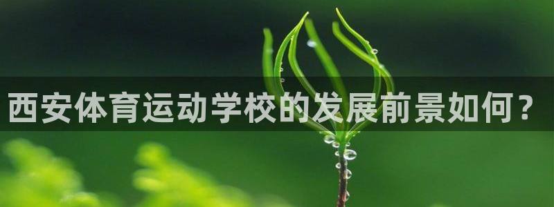 沐鸣体育官网