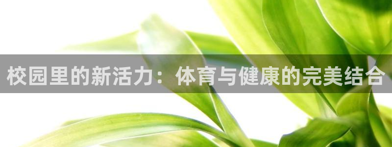 沐鸣4开户