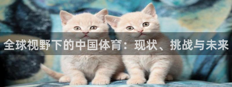 沐鸣体育
