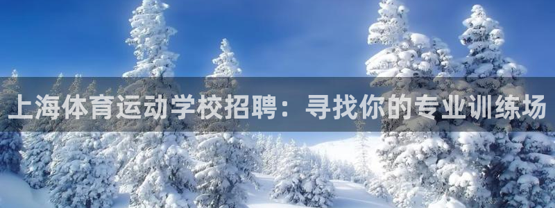 沐鸣体育app下载