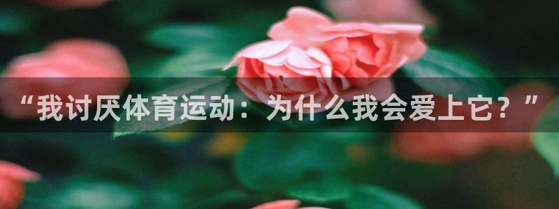 沐鸣3官网