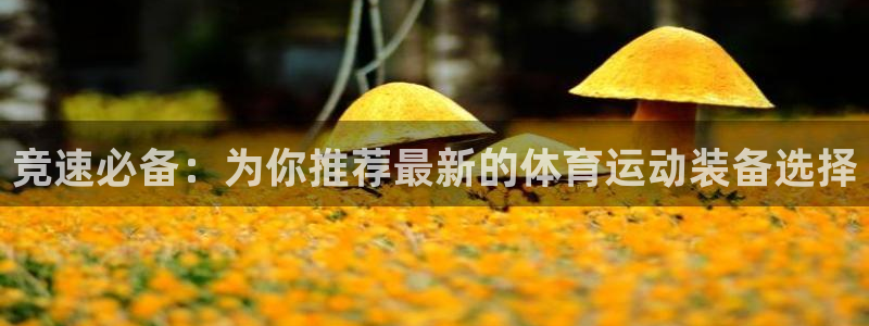 沐鸣4登录